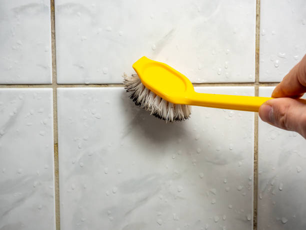 Best Black Mold Removal  in Lton, IN