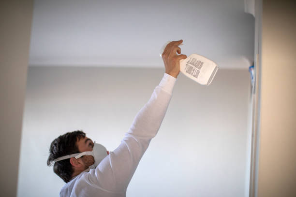 Best Toxic Mold Removal  in Lton, IN